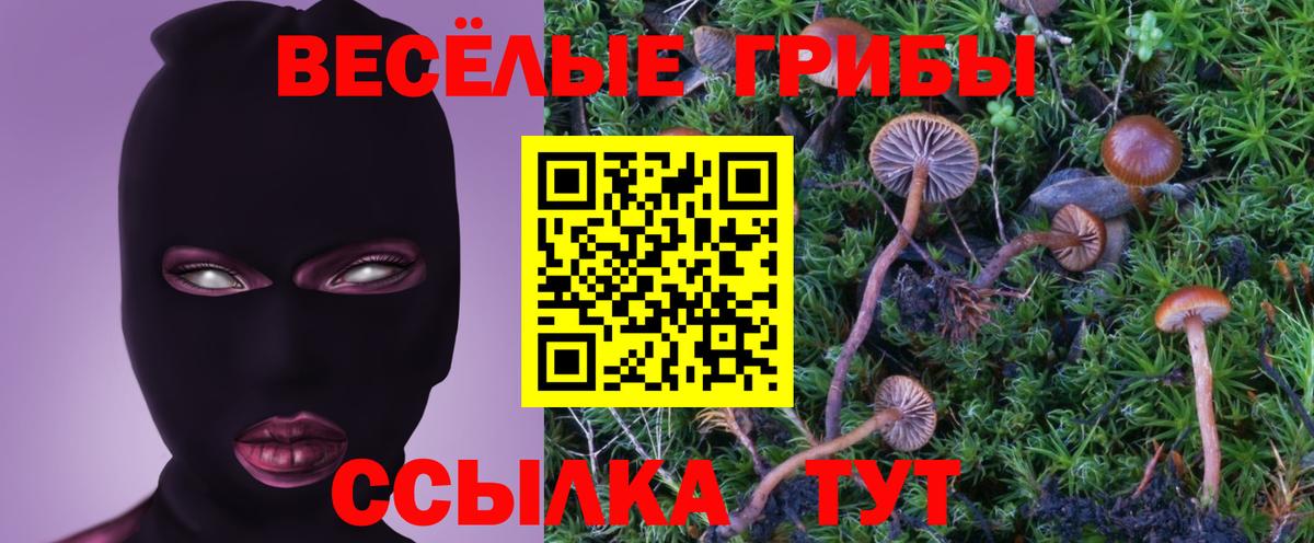 Томск  Галлюциногенные грибы Psilocybine cubensis  Вход с VPN  Галлюциногенные грибы Psilocybe 