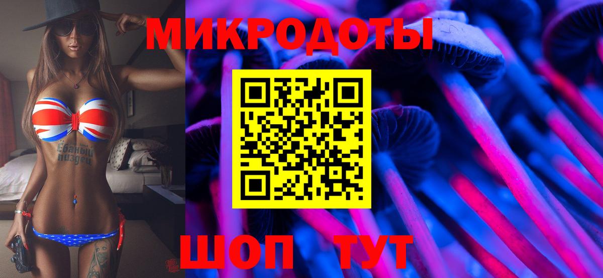 Псилоцибиновые грибы Cubensis Томск